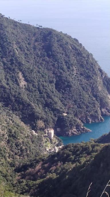 Casa Al Mare A Recco Apartment Екстериор снимка