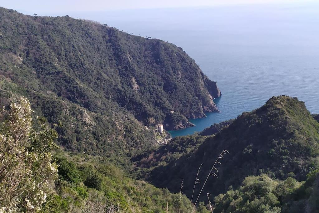 Casa Al Mare A Recco Apartment Екстериор снимка